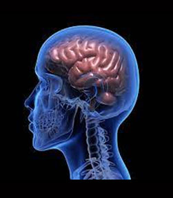 Brain Haemorrhage Treatment