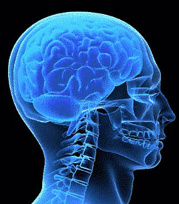 Neurovascular Surgery